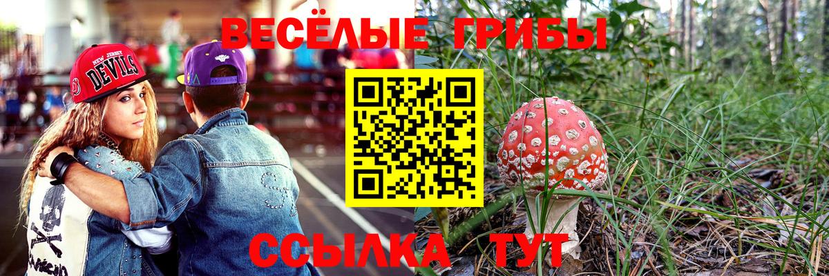 Псилоцибиновые грибы Psilocybine cubensis Улан-Удэ